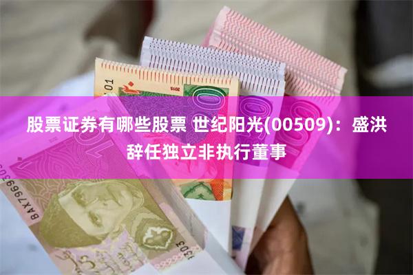 股票证券有哪些股票 世纪阳光(00509)：盛洪辞任独立非执行董事