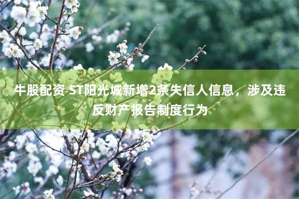 牛股配资 ST阳光城新增2条失信人信息，涉及违反财产报告制度行为
