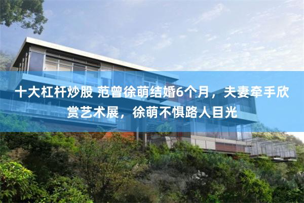 十大杠杆炒股 范曾徐萌结婚6个月，夫妻牵手欣赏艺术展，徐萌不惧路人目光