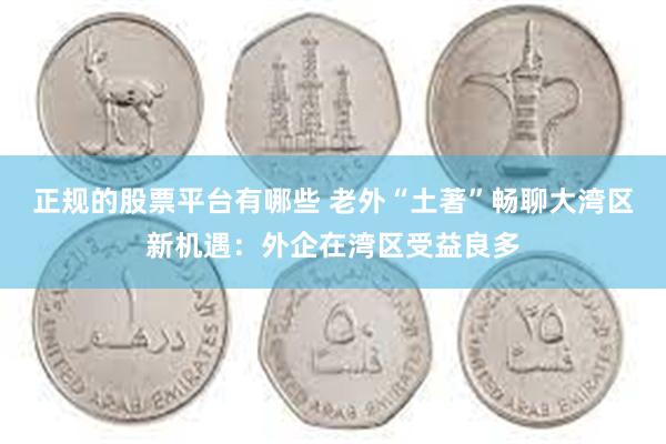 正规的股票平台有哪些 老外“土著”畅聊大湾区新机遇：外企在湾区受益良多