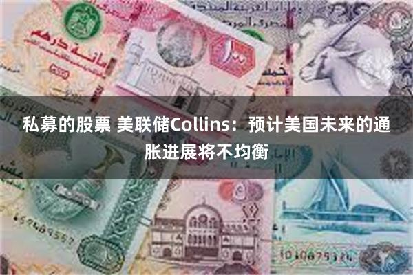私募的股票 美联储Collins：预计美国未来的通胀进展将不均衡