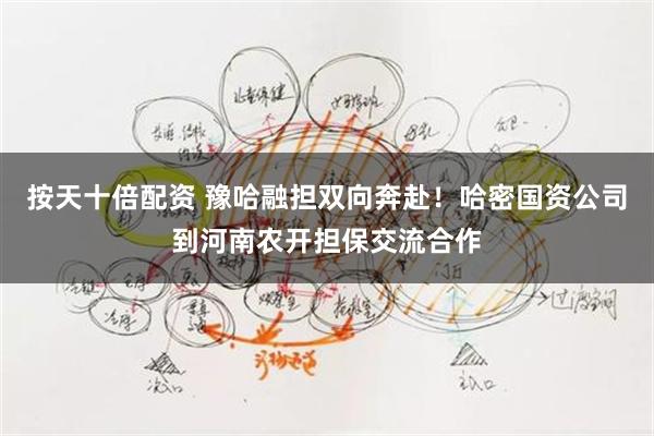 按天十倍配资 豫哈融担双向奔赴！哈密国资公司到河南农开担保交流合作