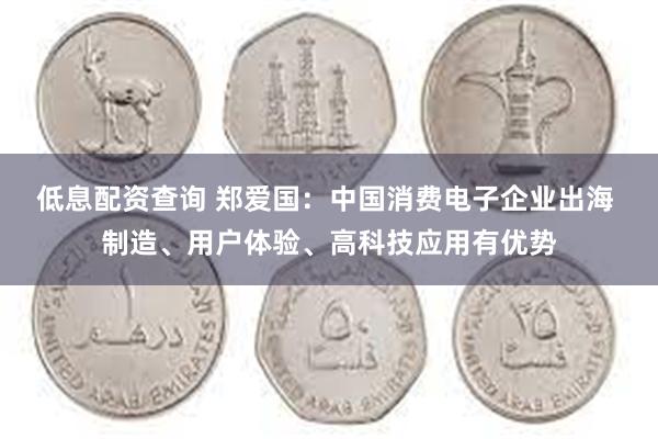 低息配资查询 郑爱国:中国消费电子企业出海 制造、用户体验、高科技应用有优势