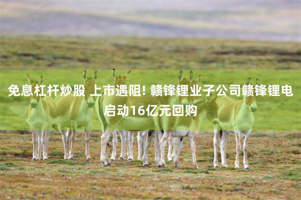 免息杠杆炒股 上市遇阻! 赣锋锂业子公司赣锋锂电启动16亿元
