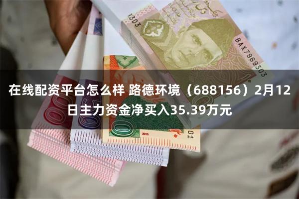 在线配资平台怎么样 路德环境（688156）2月12日主力资金净买入35.39万元