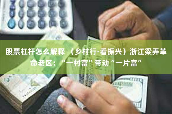 股票杠杆怎么解释 （乡村行·看振兴）浙江梁弄革命老区：“一村