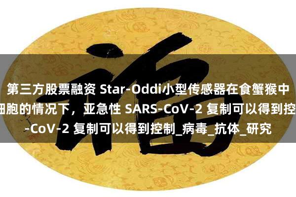 第三方股票融资 Star-Oddi小型传感器在食蟹猴中，在没
