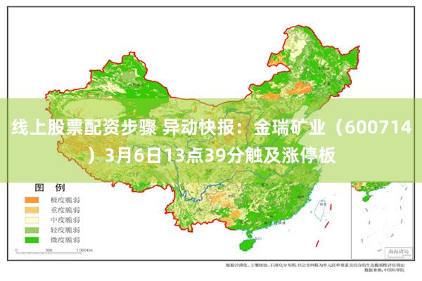 线上股票配资步骤 异动快报：金瑞矿业（600714）3月6日13点39分触及涨停板