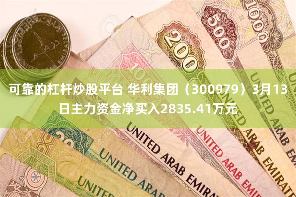 可靠的杠杆炒股平台 华利集团（300979）3月13日主力资