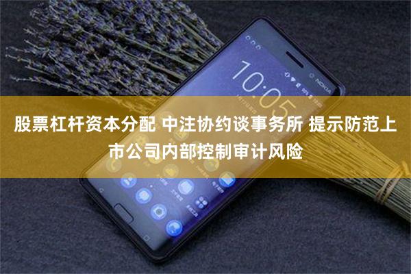 股票杠杆资本分配 中注协约谈事务所 提示防范上市公司内部控制审计风险