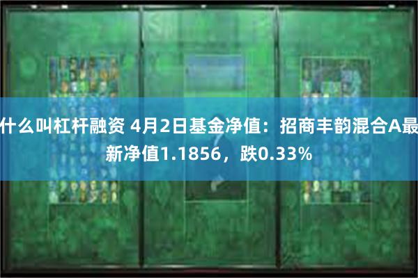什么叫杠杆融资 4月2日基金净值：招商丰韵混合A最新净值1.
