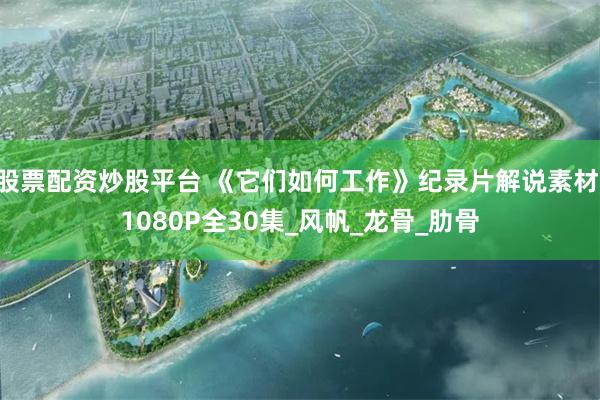 股票配资炒股平台 《它们如何工作》纪录片解说素材 1080P