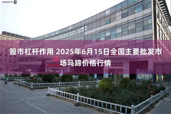 股市杠杆作用 2025年6月15日全国主要批发市场马蹄价格行情