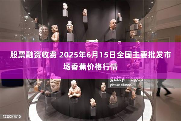 股票融资收费 2025年6月15日全国主要批发市场香蕉价格行情