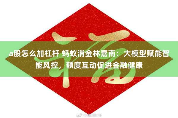 a股怎么加杠杆 蚂蚁消金林嘉南：大模型赋能智能风控，额度互动促进金融健康