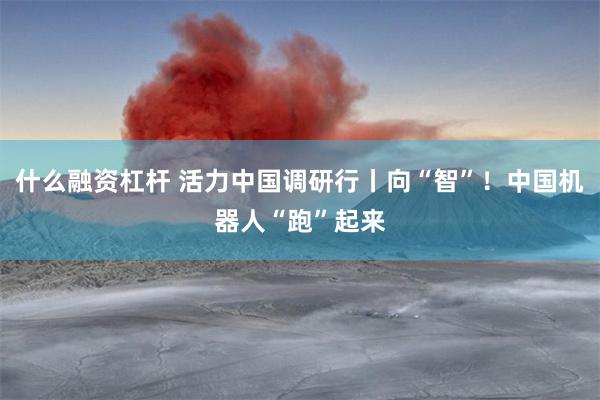 什么融资杠杆 活力中国调研行丨向“智”！中国机器人“跑”起来
