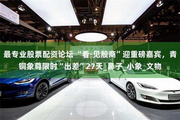 最专业股票配资论坛 “看·见殷商”迎重磅嘉宾，青铜象尊限时“